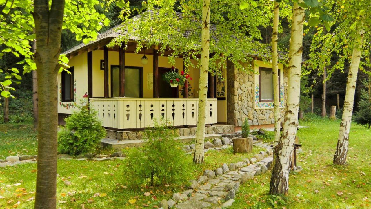 Fratii Jderi - Utopia Verde Brezoi Exterior photo